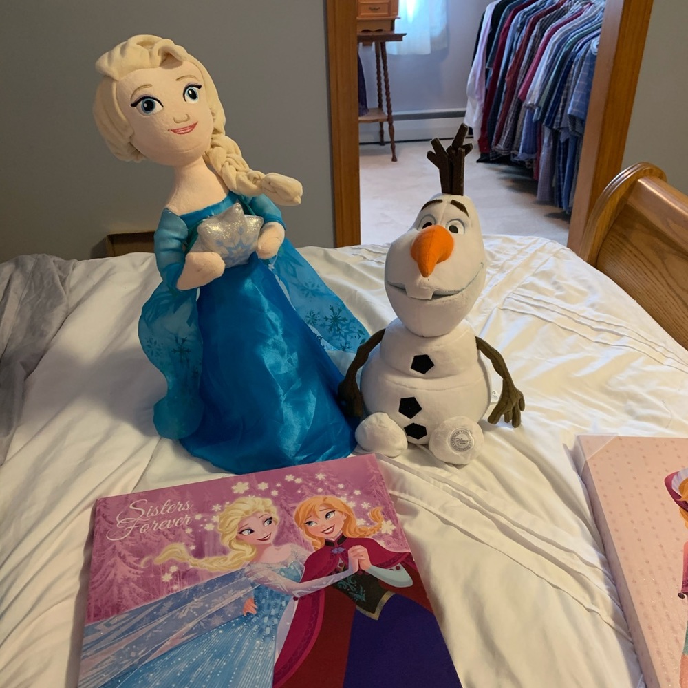 Girls Frozen Decor